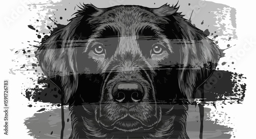 Black Dog 