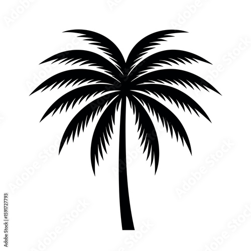 Palm frond from coconut tree with detail Line Art Vector illustration