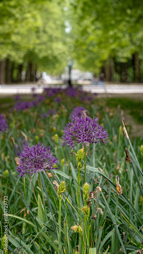 Brüssel - Belgien / Belgium - Mai 