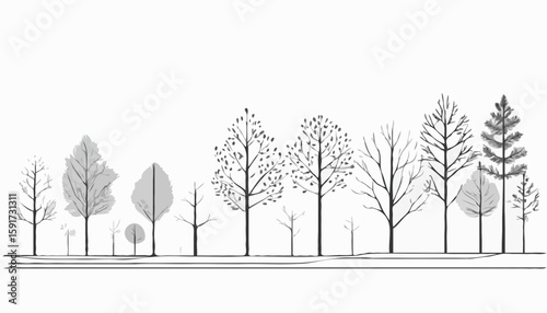 Architectural Drawings, Minimal style cad tree line drawing, Side view, set of section forest outline for landscape design drawing. Vector illustration