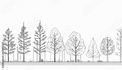 Architectural Drawings, Minimal style cad tree line drawing, Side view, set of section forest outline for landscape design drawing. Vector illustration