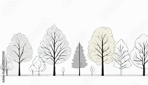 Architectural Drawings, Minimal style cad tree line drawing, Side view, set of section forest outline for landscape design drawing. Vector illustration