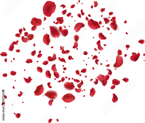 Beautifully Falling Deep Red Rose Petals Symbolizing Passionate Love, Desire, and Profound Romance Perfect Background for Special Occasions Like Valentine's Day Weddings 