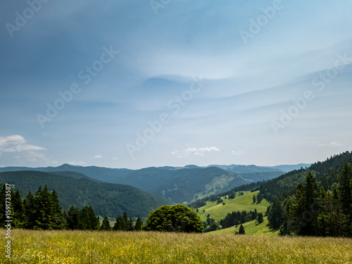 Wallpaper Mural Scenic Summer View of Todtnauberg in the Black Forest, Germany – Lush Green Hills, Alpine Meadows, and Peaceful Mountain Landscape Torontodigital.ca