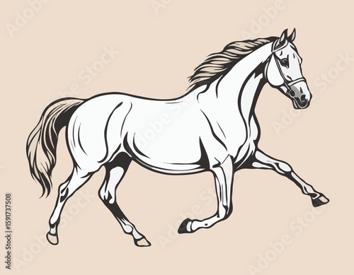 Sophisticated Line Art Illustration of a Horse Head, Suitable for Equestrian Clubs, Branding, and Wall Art.