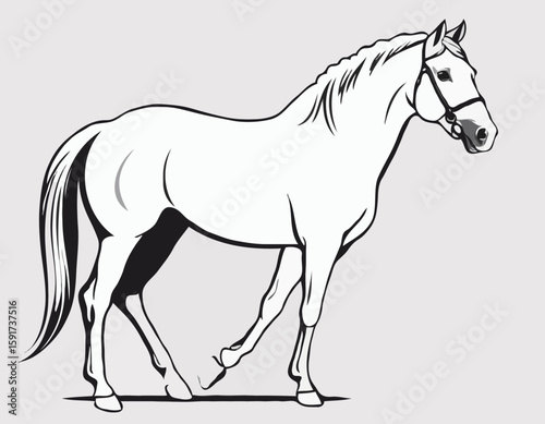 Sophisticated Line Art Illustration of a Horse Head, Suitable for Equestrian Clubs, Branding, and Wall Art.