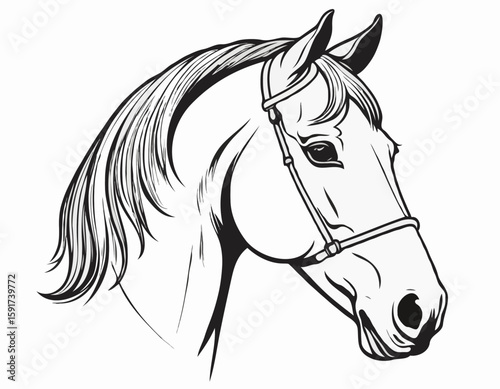 Sophisticated Line Art Illustration of a Horse Head, Suitable for Equestrian Clubs, Branding, and Wall Art.