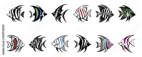 12 Collection of colorful and diverse angel fish illustrations and icons on white background