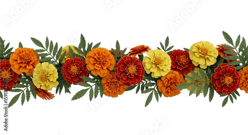Vibrant orange & red marigolds border on transparent BG – perfect for Mid-Autumn Festival, Diwali decor, or Day of the Dead celebrations! Stunning stock image for cultural designs