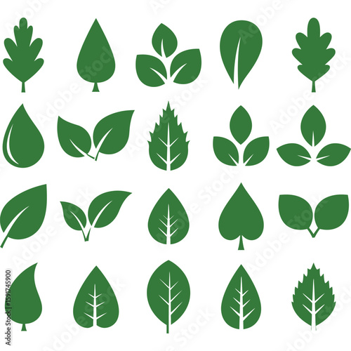 Green Leaf Icons Set: Nature, Ecology, Eco-Friendly, Botanical, Plant, Vector Illustration