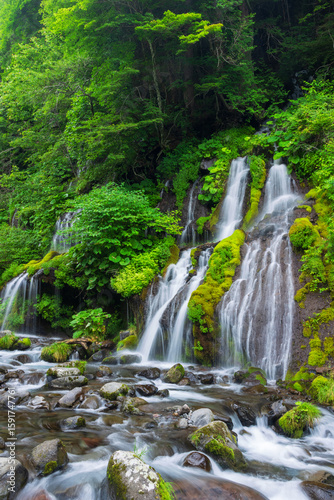 waterfall in the green forest