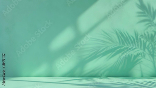 ミントグリーンの壁にヤシの葉の影が映える抽象的な背景。