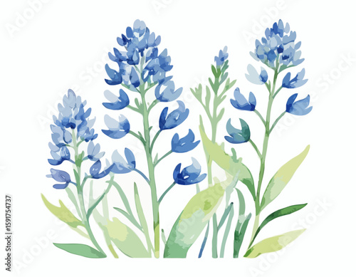 A delicate watercolor illustration showcasing vibrant blue bonnets in their full bloom, portraying nature's beauty and meticulous artistry over a white background