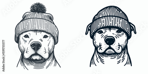 A Pittbulls Dog wear Beanie hat. Minimal Cartoon Animal Clipart Silhouette Vector Line Art Illustration. Canine in wool head covering cool puppy winter knit cap pet with headgear.