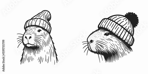 A capybara wear Beanie hat. Minimal Cartoon Animal Clipart Silhouette Vector Line Art Illustration. Cute rodent sport knitted skull covering for head image.