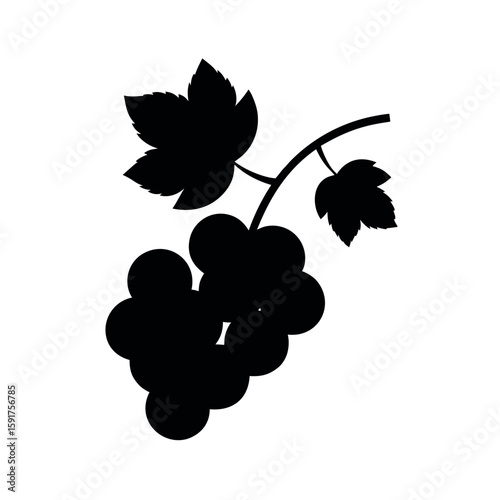 Black grapevine curling with natural leaf detail Line Art Vector illustration