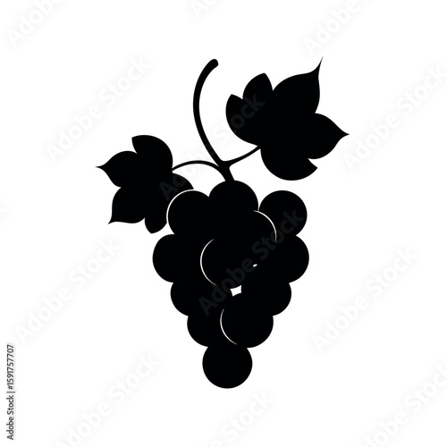 Graceful grapevine illustration with soft flow Line Art Vector illustration