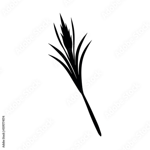 Black lemongrass illustration with natural style Line Art Vector illustration