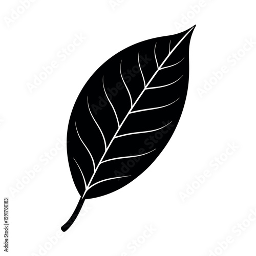 Minimalist mango leaf artwork in black line drawing Line Art Vector illustration