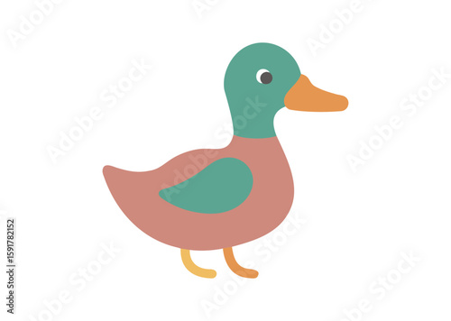 Duck Vector, Duck Icon Illustration