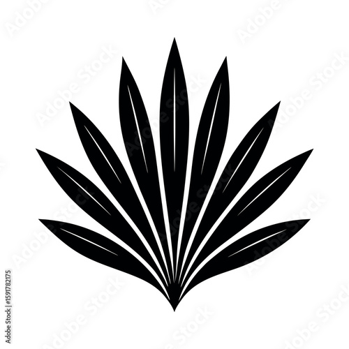 Long pandan blade with sharp elegant structure Line Art Vector illustration