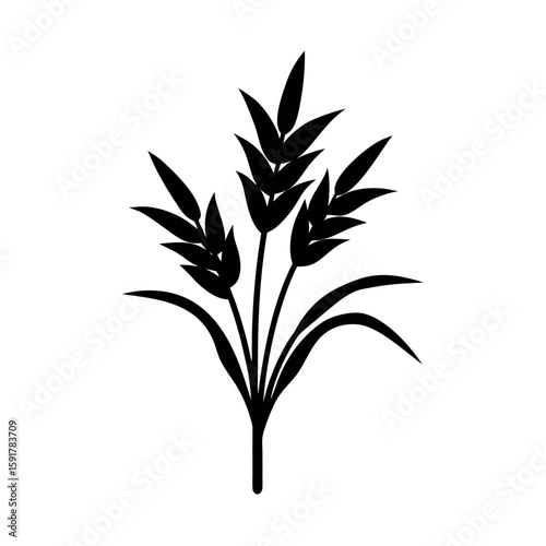 Black rice plant with long graceful stems Line Art Vector illustration