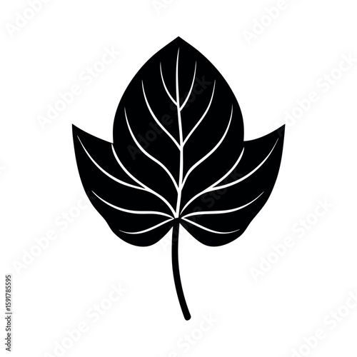 Taro leaf with curving elegant shape Line Art Vector illustration