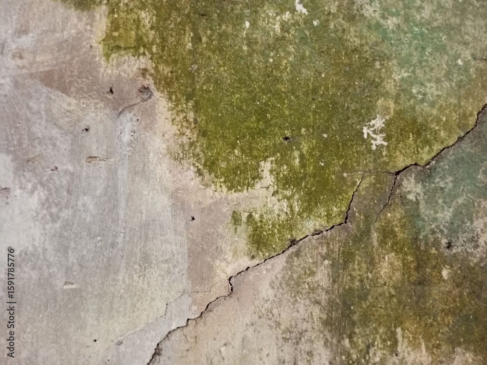 Obraz premium Old Concrete Wall with Green Moss and Deep Crack
