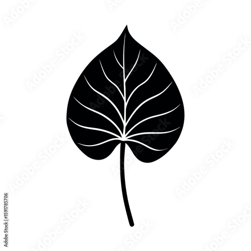 Simple taro plant leaf with soft curves Line Art Vector illustration
