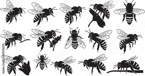 Wallpaper Mural "Set of 15 Bee Silhouettes in Flight and Resting Poses | Black and White Insect Vector Icons" Torontodigital.ca