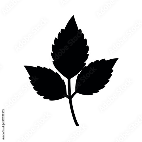 Simple tulsi leaf with organic form Line Art Vector illustration