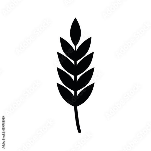 Minimal wheat stalk design in line art Line Art Vector illustration