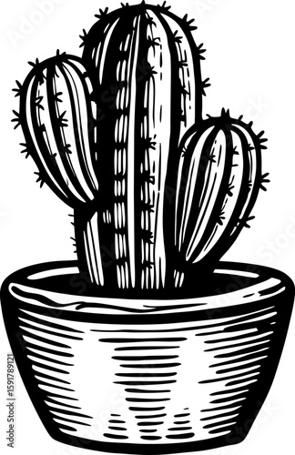 Hand drawn cactus in ceramic pot, vintage botanical illustration, desert succulent plant black and white art