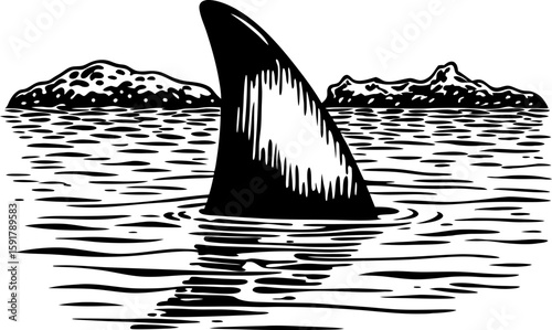 Shark fin emerging from calm water near rocky islands ocean danger, marine predator, wilderness scene, black and white