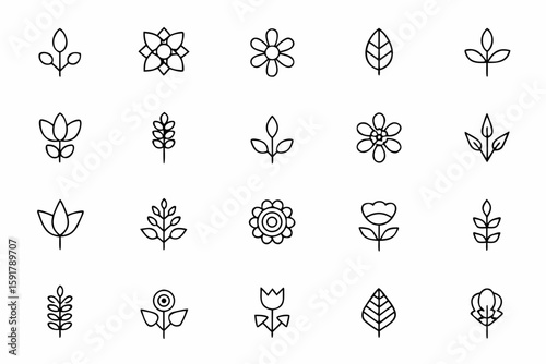 Wallpaper Mural Minimalist floral and foliage set featuring eucalyptus branches, olive twigs, dried pampas grass, and wildflower stems in continuous line style. Includes single stems, bouquets, and abstract compositi Torontodigital.ca