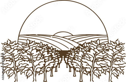Orchard landscape line art with trees and sunrise rural farmland, cultivated agriculture, nature scene illustration