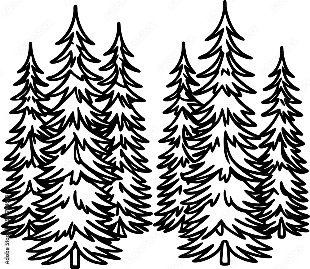Obraz premium Dense evergreen pine forest illustration stylized hand drawn conifer trees, natural woodland wilderness backdrop