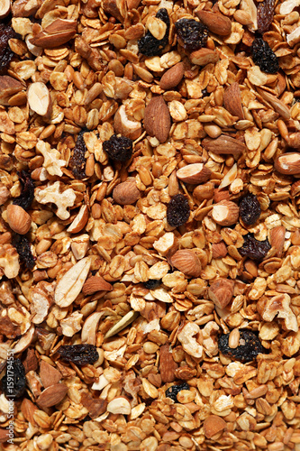 Freshly Baked Granola. Oat Granola with Almonds, Walnuts, Sunflower Seeds and Raisins. Morning Nutrition.  