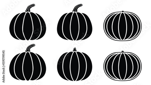 Black pumpkins vector illustration gourds autumn