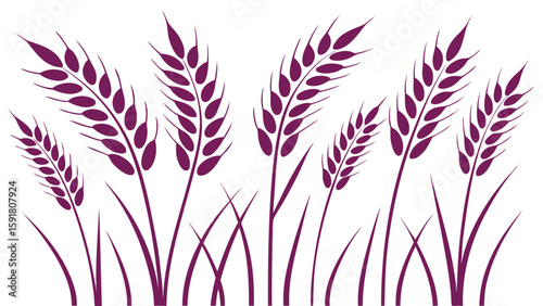 Purple wheat stalks with grass field