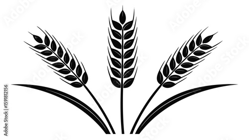 Three black wheat stalks with leaves grain agriculture