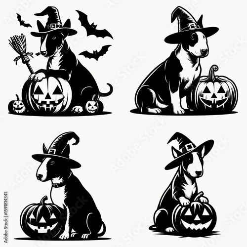 Bull Terrier Dog wear witch hat and sitting on jack o pumpkin. Halloween Spooky Scary Trick or Treat Haunted Ghost Clipart Line Art Vector Illustration. Canine in pointy cap atop carved.