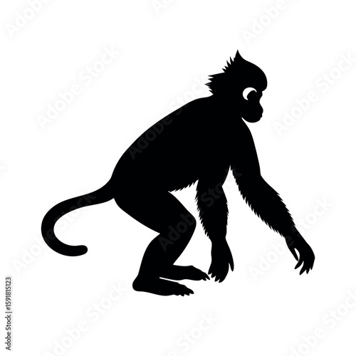 Gibbon hanging with long flexible arms Line Art Vector illustration