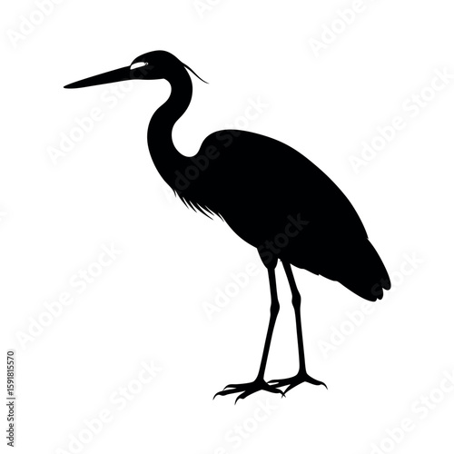 Heron waiting calmly near quiet water Line Art Vector illustration