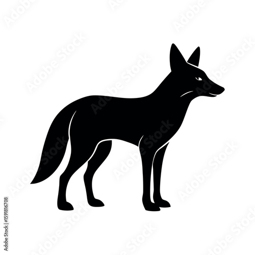 Alert jackal standing with upright ears Line Art Vector illustration