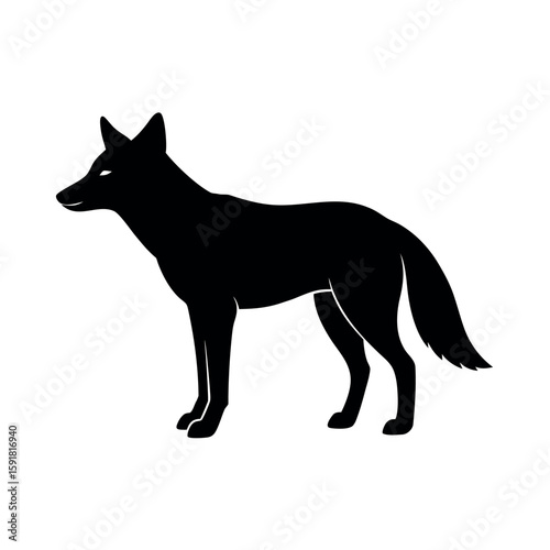 Clever jackal in side view profile Line Art Vector illustration