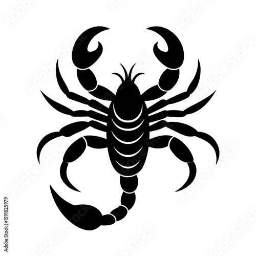 Detailed scorpion posing with lifted stinger Line Art Vector illustration