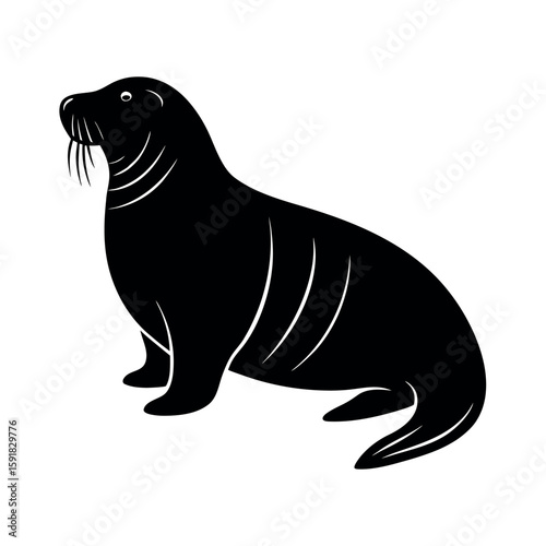Walrus resting with tusks and flippers visible Line Art Vector illustration