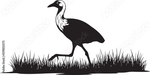 Black and white silhouette of a bird walking in the grass