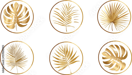 Elegant Golden Tropical Leaves in Circles on White Background for Design